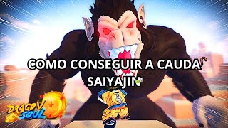 COMO PEGAR A CAUDA SAIYAJIN  ROBLOX DRAGON SOUL [upl. by Buschi]