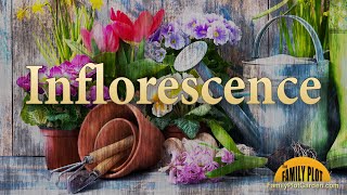 Inflorescence – Garden Glossary [upl. by Jeanne782]