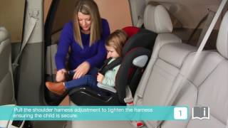 Smyths Toys  Joie Elevate 123 Car Seat Cherry [upl. by Dorahs831]