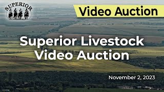 Superior Livestock Video Auction [upl. by Gomer]