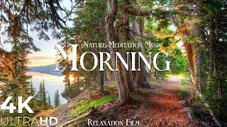 Morning Nature  Relaxation Film  Peaceful Relaxing Music  4k Video UltraHD [upl. by Mehs]