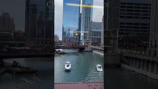 Chicago Summer Vlog ☀️😎🚤 chicago summervibes boatsfypシ゚viral wrigleyfield [upl. by Anuska333]