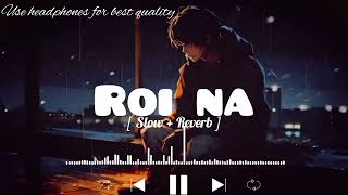 Roi Na Lofi song  SlowedReverb   ninja ‎LOFIMusic0304 [upl. by Akinod244]