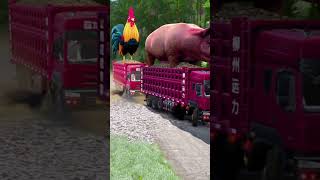 Funny truck carrying giant rooster and pig Truck Dance  Coffin Dance Song Cover [upl. by Joiner]