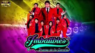 Mix CHICHITO M   DR Los IMBATIBLES BRAVOS de la CUMBIA [upl. by Aiva843]