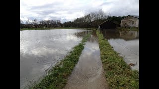 Hochwasser Reinheim Ueberau Gersprenz 2017 Odenwald Germany Flood [upl. by Estella]