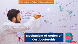 Mechanism of Action of Corticosteroids Glucocorticoids Mechanism of Action Mr Sanaullah lectures [upl. by Robers]