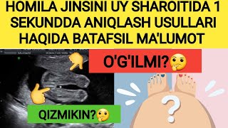 HOMILA JINSINI UY SHAROITIDA 1 SEKUNDDA ANIQLASH USULLARI HAQIDA BATAFSIL MALUMOT [upl. by Buzz]