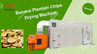 Low Energy Consumption Of Plantain Banana Drying Machine For Chips [upl. by Livingston]