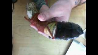 Flint Knapped Obsidian Knife Antler Handle For Sale [upl. by Dennett771]