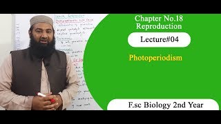 Biology Ch04Lecture18 Photoperiodism FSc 2nd Year [upl. by Hamner]