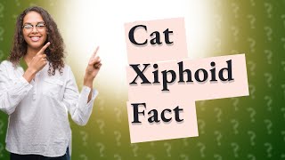 Do cats have a xiphoid process [upl. by Boothe251]