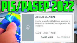 PISPASEP 2022 SITUAÇÃO NÃO HABILITADO COMO RECEBER Abono salarial Não Habilitado o que fazer [upl. by Deerc]