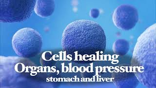 Cells healing  Organs kidneys blood pressure stomach and liver health [upl. by Swartz901]