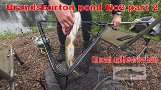 Fishing Live Baits at Brandsburton No2 part 2 Oct 2023 [upl. by Ming683]