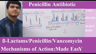 Penicillin Mechanism of Action animation video [upl. by Neelyad71]