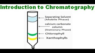 Introduction to chromatography [upl. by Acisseg646]