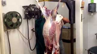 Peach Orchard Deer ProcessingDavid Skinning a deer in under two minutes [upl. by Ahsyas956]