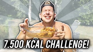 HEALTHY 7500 CALORIE CHALLENGE [upl. by Archangel]