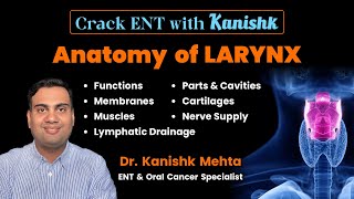 Larynx Anatomy  ENT Lectures  Dr Kanishk Mehta  Crack ENT  ENT for NEET  NEXT  UG  PG [upl. by Anik]