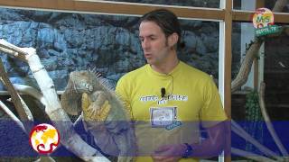 ReptilTV  Folge 15  Handling von Echsen [upl. by Nakashima]