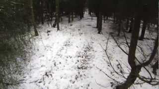 Pheasant Shooting on Beaters Day filmed with a Go Pro Hero 3 [upl. by Ariaz]