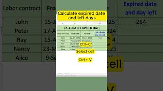 How to calculate expired date and left days  Excel tips  Excel learning [upl. by Hcardahs]