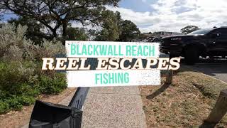 Blackwall Reach Fishing  Perth Western Australia  Spring 2023 [upl. by Daegal]