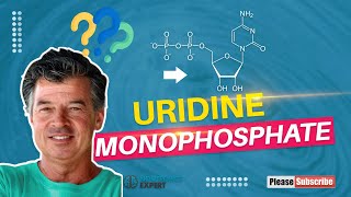 Uridine Monophosphate [upl. by Eleen316]