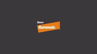 Committed to Quality Why Rumensin® Is Trusted by Generations of Producers  Elanco Animal Health [upl. by Margarethe]