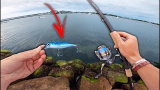 SALTWATER BANK FISHING MAYHEM  This Is My NEW FAVORITE LURE [upl. by Vinay355]