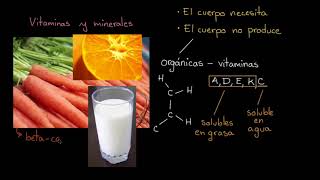 Introducción a las vitaminas y los minerales  Khan Academy en Español [upl. by Renie]