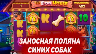 РЕКОРДНЫЙ ЗАНОС В THE DOG HOUSE MEGAWAYS ПОЛЯНА СИНИХ СОБАК НА 4 МИЛЛИОНА  ЗАНОСЫ НЕДЕЛИ [upl. by Nysa]