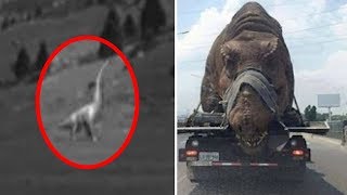 5 Dinosaurs Caught on Camera amp Spotted in Real Life [upl. by Eineeuq547]