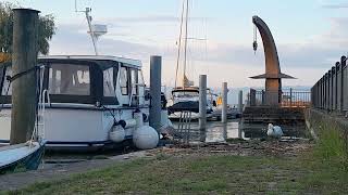 BodenseePegel liegt bei 474 Meter 21 Juli 2024 LangenArgen [upl. by Krever]