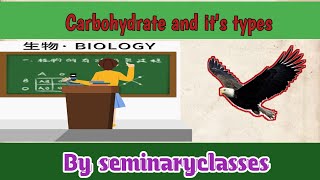 Carbohydrate and its types and concept of cellulose [upl. by Arikehs697]