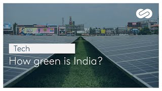 How green is India  Journal de Bord 2022 [upl. by Wadlinger812]