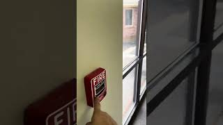 Notifier N16x Fire Alarm Test w Voice Evac [upl. by Nolly788]