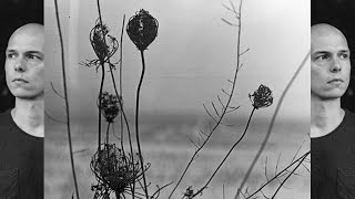 Recondite  Placid Full Album [upl. by Ognimod]