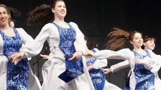 HAVA NAGILA Jewish Punjabi Israel India Dance  Downtown Bhangra Vancouver [upl. by Tayler830]