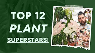 🌿 Top 12 Houseplants Exploding in Growth This Season 🚀 [upl. by Nawj]