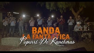 Cariñito De Mi Vida La Mesa Del Rincon  En Vivo  Banda La Fantastica  Vol 3 [upl. by Rekrap]