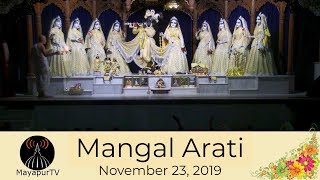 Mangal Arati Sri Dham Mayapur November 23 2019 [upl. by Anaeerb952]