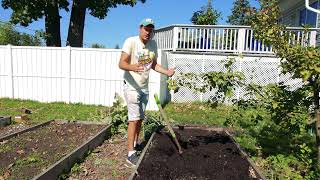 This Ancient and Highly Efficient Composting Method Will Change How You Garden [upl. by Haggi]