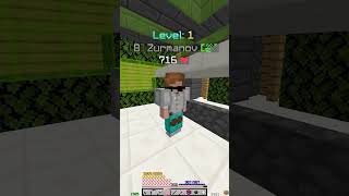 Im an expert at lowballing in Hypixel Skyblock hypixel hypixelskyblock minecraft [upl. by Arym]