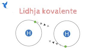 Lidhja Kovalente [upl. by Demetris]