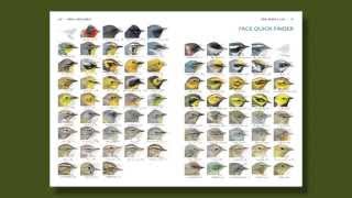 The Warbler Guide  How to Use the Quick Finders [upl. by Schrader]