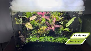 Rainforest Terrarium full steps [upl. by Melesa]