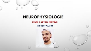 Neurophysiologie cours 1 le tissu nerveux [upl. by Anabelle]