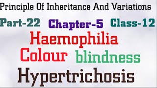 Chapter5 Class12 biology  P22 haemophilia colour blindness hypertrichosis [upl. by Felicity]